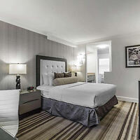 n elegantly appointed hotel bedroom featuring a plush bed with a white duvet and a soft grey headboard